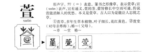 萱名字意思|萱萱的名字寓意是什么意思 萱萱的意思